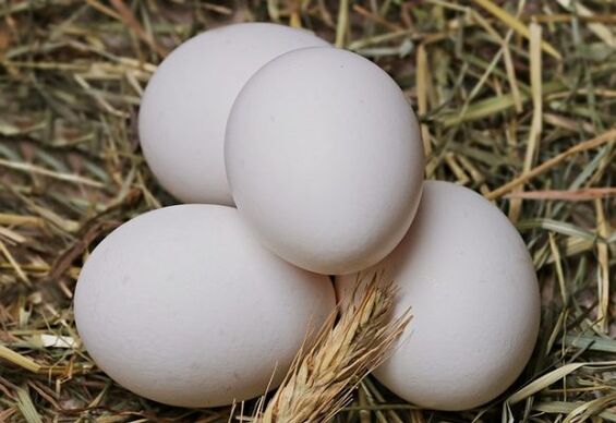 La dieta del huevo implica comer huevos todos los días. 
