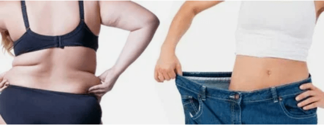 El principio de los menús de la dieta es muy popular