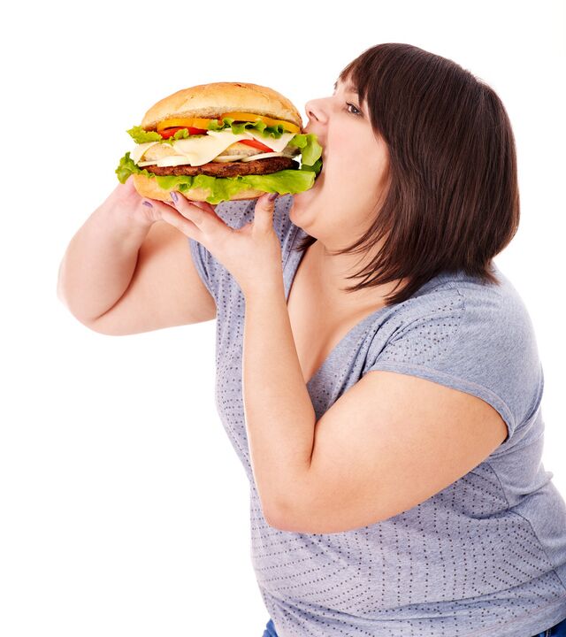 Demasiada comida